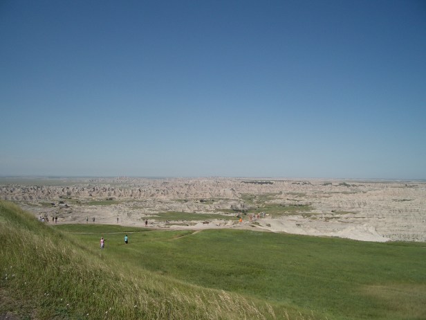 IMGP7932