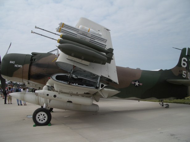 IMGP7991
