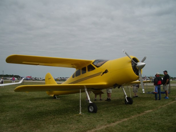 IMGP7995
