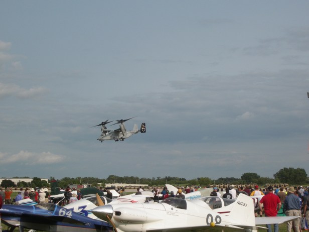IMGP8010