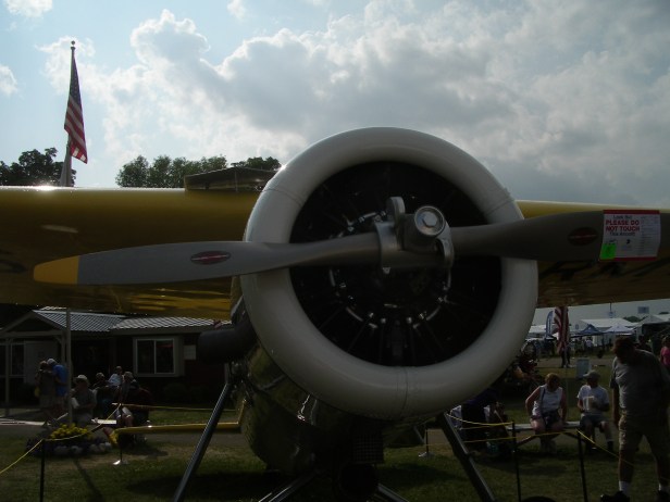 IMGP8107