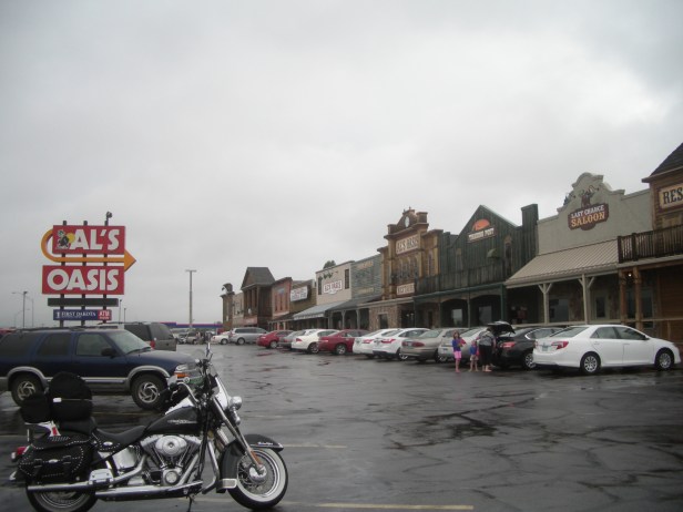 IMGP8237