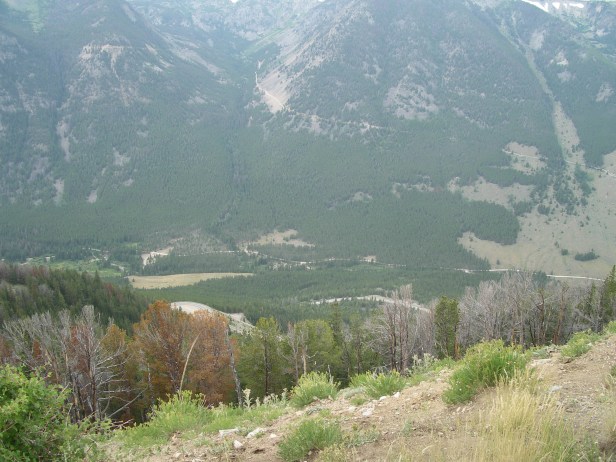 IMGP8258