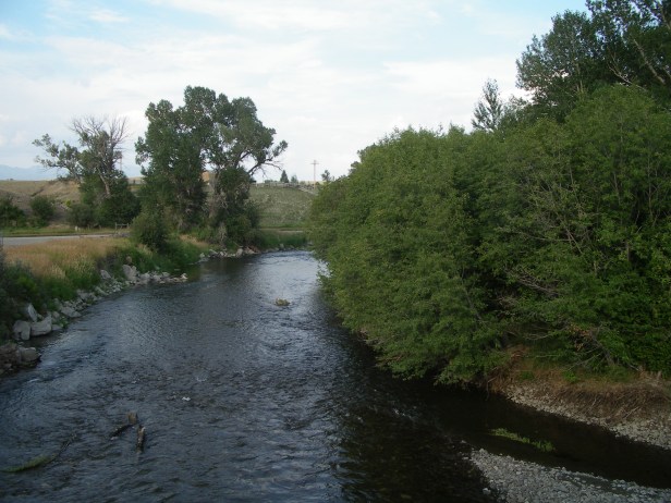 IMGP8305