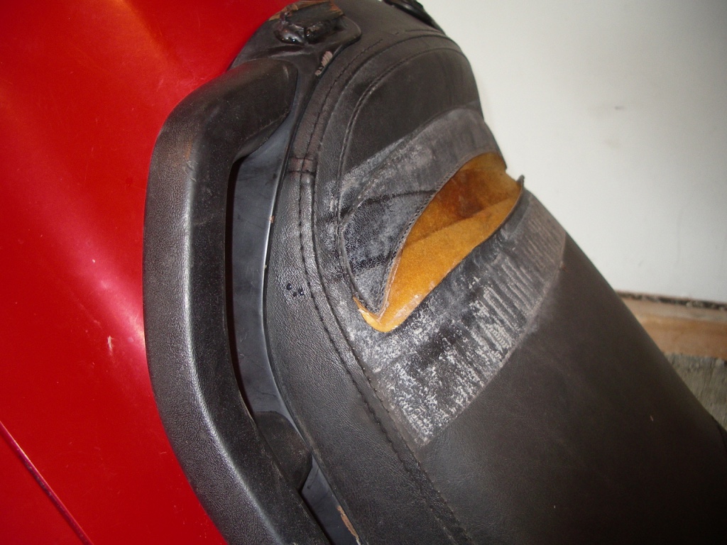 UNADJUSTEDNONRAW_thumb_4781
