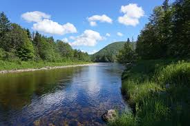 margaree rvr