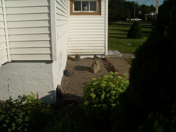 IMGP9374