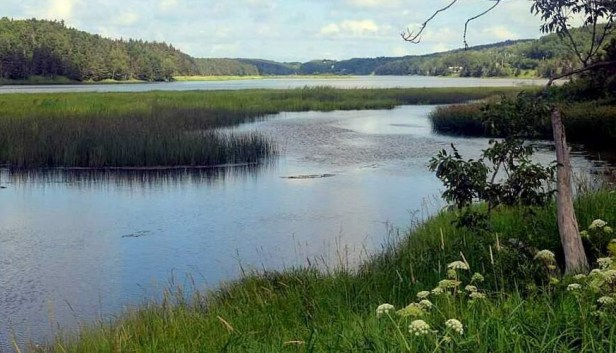 margaree east