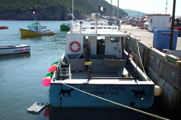 Nova Scotia 017